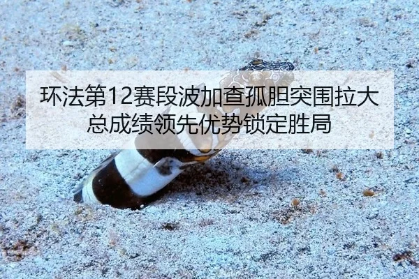 huan-fa-di-sai-duan-bo-jia-cha-gu-dan-tu-wei-la-da-zong-cheng-ji-ling-xian-you-shi-suo-ding-sheng-ju-2-836.jpg