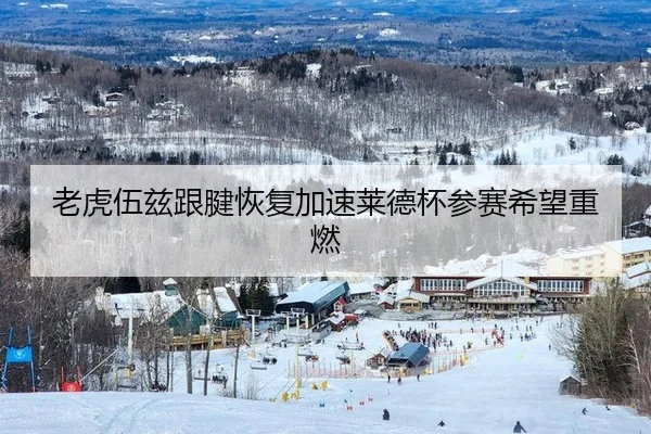 老虎伍兹跟腱恢复加速莱德杯参赛希望重燃